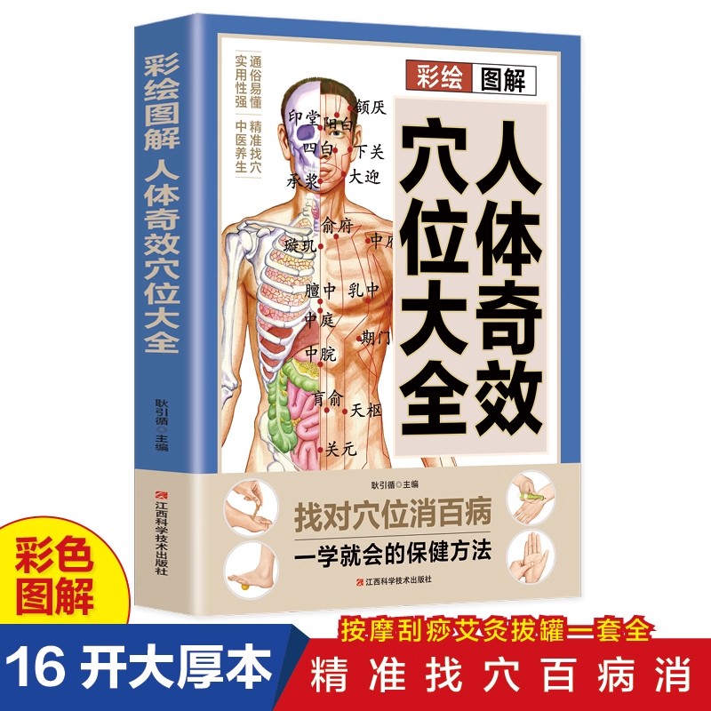 Health & Wellness Fee - Acupoint Massage & TCM Health Preservation