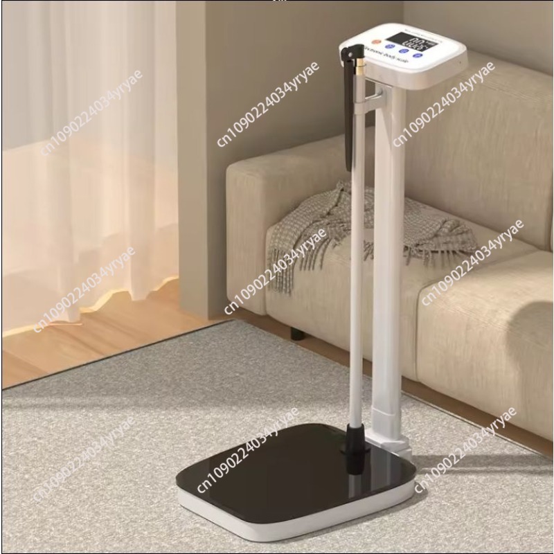 Smart body scale connection AP - Digital Body Weight Scale recension och pris