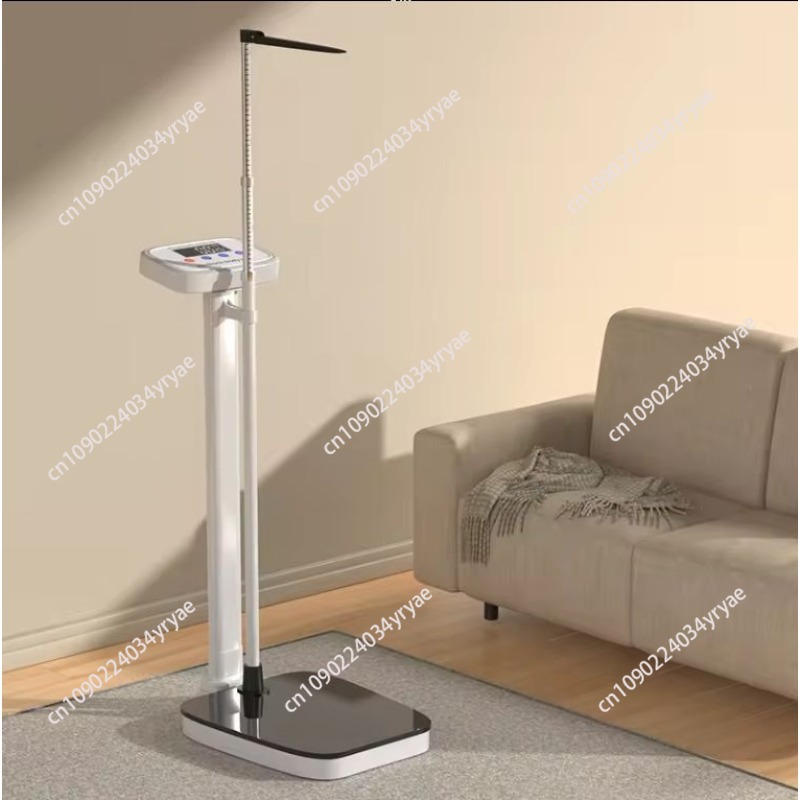 Smart body scale connection AP - Digital Body Weight Scale recension och pris