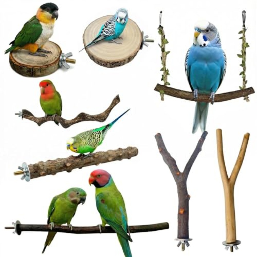 8PCS natural wood bird perches - Health & Wellness Fee recension och pris